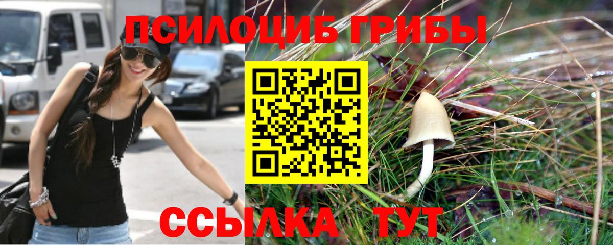 Галлюциногенные грибы Psilocybine cubensis  Вход с VPN  Куйбышев 